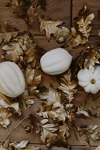putih, labu, emas, ek, daun, kulit pumkin putih, daun ek, daun dicat, musim gugur, dekorasi, halloween