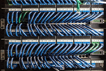 cables de ethernet, conectados, puertos de red, cable, fecha, equipo, línea, red, puerto, velocidad, banda ancha