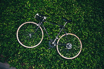 bicycle, graden, surrounded, leaves, bicycling, bike, black, commuting, farmland, garden, green