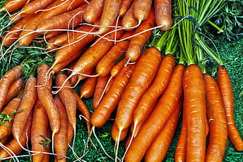 carrot vegetables, food and Drink, carrot, health Food, healthy Food, vegetable, vegetables