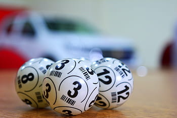 lottery, bingo, sweepstakes, winner, win, rich, lotto, game, keno, number, casino