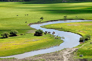 inner mongolia, horqin, prairie, river