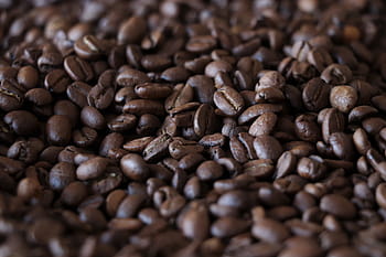 Kawa, ziarno, kofeina, aromat, kawiarnia, smażona, Espresso, świeży, drink, czarny, śniadanie