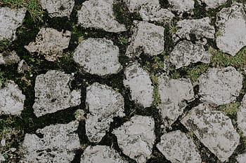 tua, batu bata, trotoar batu, latar belakang, trotoar, batu, paving
