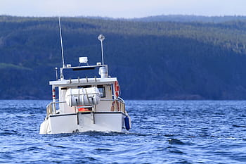 lystfartøj, dampning, hen imod, jord., båd, sejlads, atlantic, ocean, jord, beholder, vand