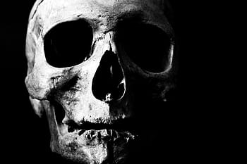 human, skull, skeleton, bone, head, death, dead, creepy, render, cranium, scary