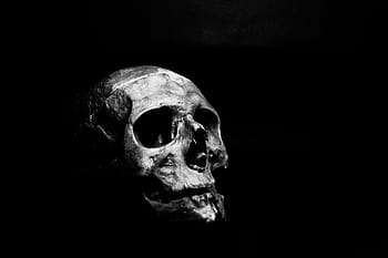 skull, human, skeleton, bone, head, death, dead, creepy, render, cranium, scary