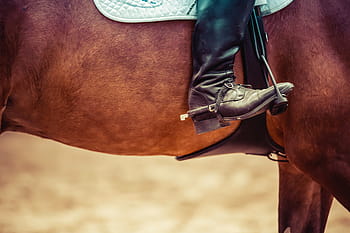 horse, shoes, cowboy, saddle, country, animals