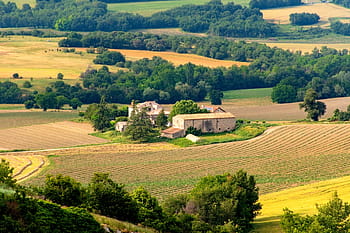 プロバンス、 田舎、 農地、 谷、 農村、 バスティード、 風景、 フランス、 プロヴァンス、 絵のような、 探検する