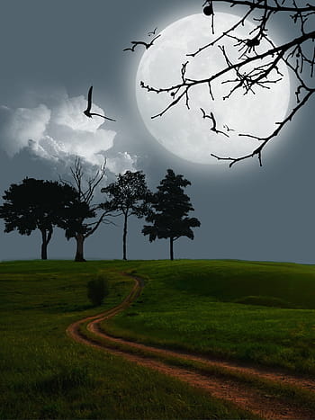 digital art, artwork, moon, mystery, landscape, scene, fantasy, night, peaceful, scenery, dream