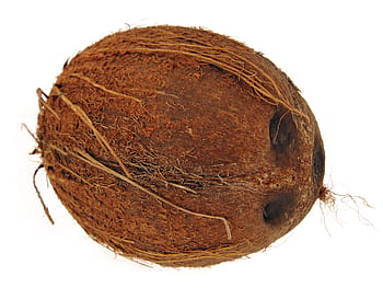 coconut, coconuts, coco, cocos, cocoz, white, fruit, background, wood, closeup, isolated