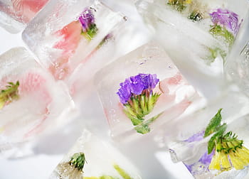 artisan, background, bartending, beautiful, closeup, cold, colorful, cool, craft, creative, creativity