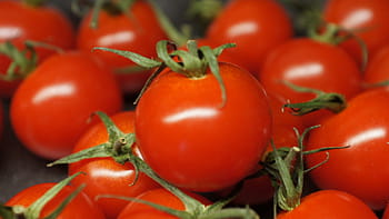 tomatoes, vegetables, red, food, healthy, fresh, eat, tomato, vitamins, cook, bio