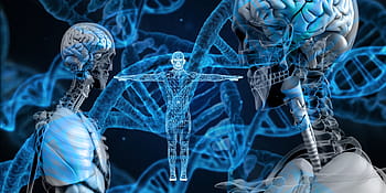 dna, genetický materiál, spirála, proteiny, biologie, chemie, lékařský, výzkum, Věda, anatomie, lebka