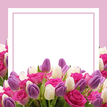 postcard, voucher, wish, invitation card, birthday, coupon, mother's day, pink, congratulations, celebration, tulip