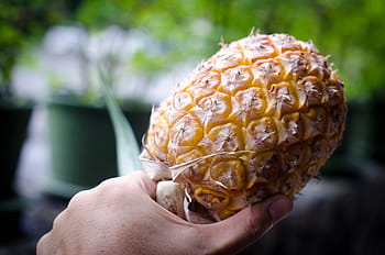 local, pineapple, thailand, fruit, sweet, tropical, fresh, healthy, food, nature, juicy
