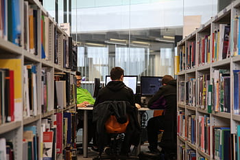 biblioteca, studia, libri, formazione scolastica, scaffale, letteratura, leggere, scuola, lettura, imparare, ricerca