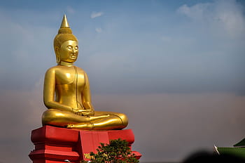 socha Buddhy, Thajsko, Buddha, náboženství, buddhismus, Pozadí, rozjímání, asijský, kultura, Asie, socha