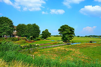 holandské krajiny, statek, louky, polder, venkovský, venkov, typicky holandský, charakteristický, severní Holandsko, ploché, zemědělský