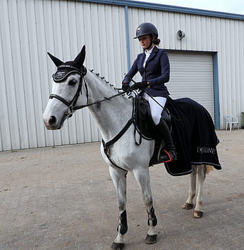 horse, the horse, nature, mammal, holding, on horseback, equestrian competitions, girl, dżokejka