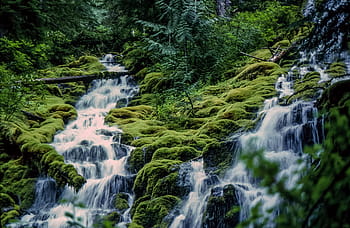 view, waterfalls, green, mountains, beautiful, fall, flowing, levels, moss, mountain, park