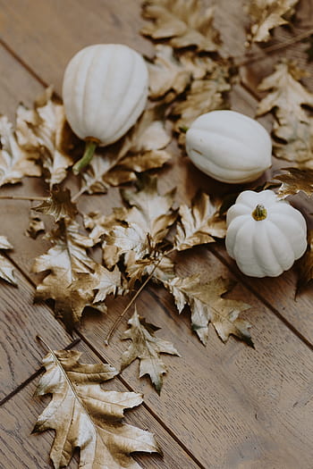 putih, labu, emas, ek, daun, kulit pumkin putih, daun ek, daun dicat, musim gugur, dekorasi, halloween