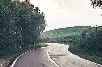 görünüm, boş, yol, ağaçlar, etrafında, yön, sürücü, karayolu, peyzaj, dağ, açık havada