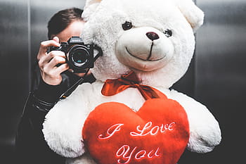 muda, manusia, mengambil, selfie, besar, teddy, bear, pacar, lift, pasangan, imut