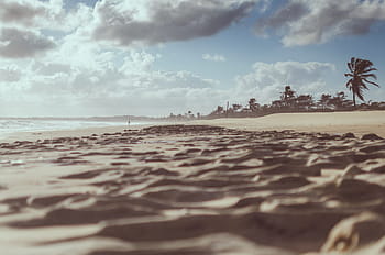 beach, clouds, sky, travel, vacation, holiday, island, landscape, nature, ocean, palm tree