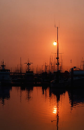 pescherecci, legato, bacino, tramonto, sfondo, oceano, attraccato, pesca, galleggiante, il motore, arancia