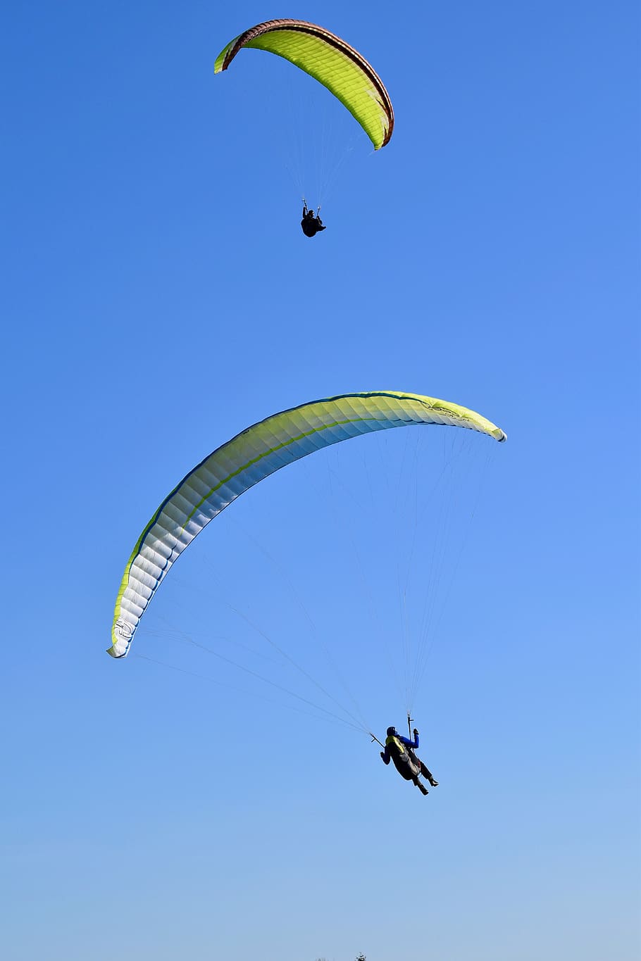 paragliding, kluzáku, plachty, křídla, létat, letadlo, dobrodružství, sport, tepelný, vítr, Příroda