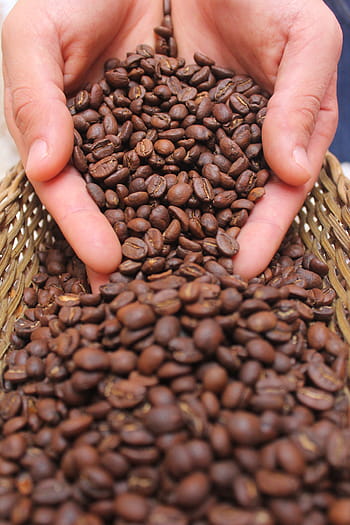 Kawa, drink, kofeina, kawiarnia, świeży, napoje, cappuccino, aromat, prażona kawa, ziarno kawy, prażone ziarno