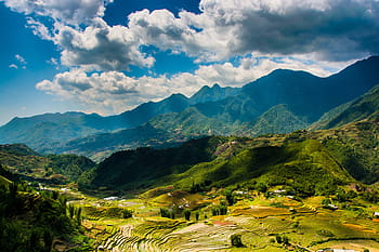 sapa, vietnam, farm, terraces, terraced fields, terrace, travel, asia, environment, field, rice