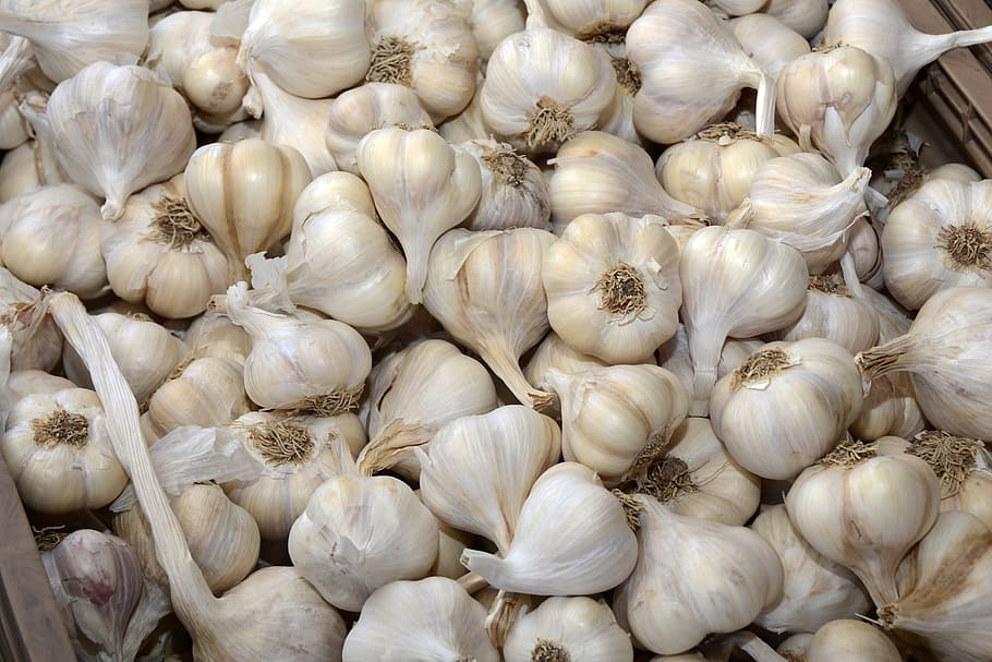 česnek, zelenina, jídlo, zdravý, čerstvý, kuchařka, přísad, drsný, bio, výživa, vitamíny