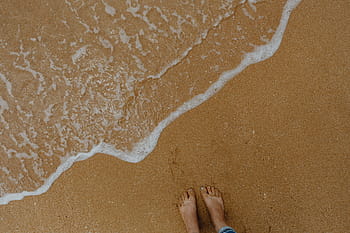 latar belakang pantai pasir, kerang laut, &, kerikil, -, banyak, bulat, kecil, batu, pantai, pasir