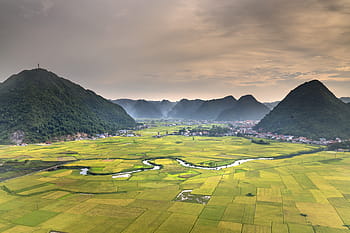 bac son, silk, field, the valley, vietnam, the landscape, natural, mountain, environment, curve, agriculture
