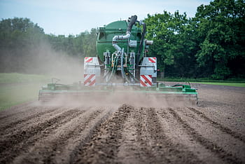 traktor, gülle, rozmetadlo tekutých hnojiv, oplodnění, güllefaß, pole, zemědělství, distribuovat, kukuřice, Příroda, plodný