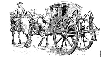 carriage, animal, horse, ride, transport