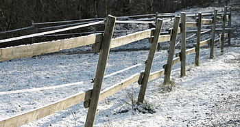 plot, sníh, spojka, paddock, zimní, Příroda, pošta, drát, vymezení, pastvina, krajina