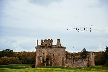 madarak, repülő, caerlaverock vár, található, déli, tengerpart, Skócia, építészet, kastély, örökség, történelmi