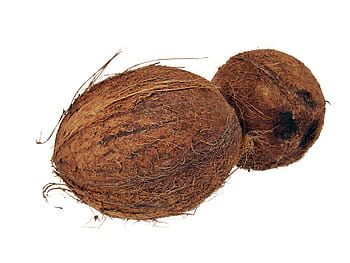 coconut, coconuts, coco, cocos, cocoz, white, fruit, background, wood, closeup, isolated