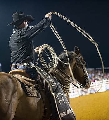 cowboy, rodeo, horse, western, animal, riding, competition, horses, west, vintage, rope