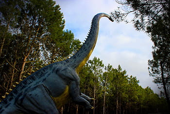 diplodocus, -, dinosaurus, sauropoda, periode jurassic, hewan, arkeologi, latar belakang, besar, biologi, kumpulkan