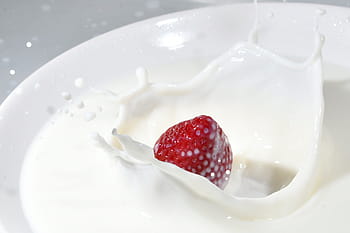 Milch, Weiß, Lebensmittel, Süss, frisch, Getränk, Essen, Joghurt, fein, Kuhmilch, Flüssigkeit