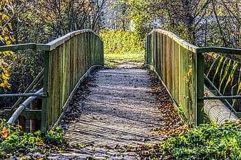 ponte, transizione, ferro, acciaio, ringhiera, verde, pista ciclabile, pista, architettura, lontano, vecchio