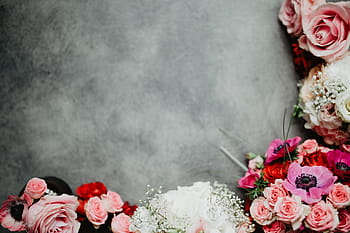 komposisi bunga, bunga, mawar, flora, ruang salin, indah, latar belakang, colorfull, pink, merah, valentine