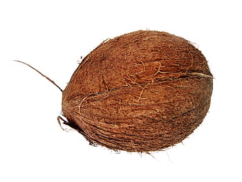 coconut, coconuts, coco, cocos, cocoz, white, fruit, background, wood, closeup, isolated
