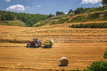 수확, 트랙터, 농업, 들, 현장 조사, 여름, 잔디, 건초, 빨대, 곤포, 짚 bales