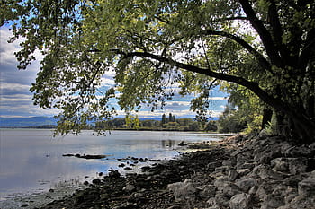 pláž, jezero, podzim, krajina, scenérie, klid v duši, bodensee, voda, Příroda, spacer, ticho