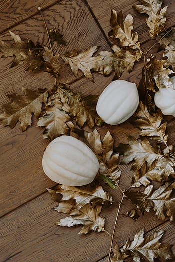 putih, labu, emas, oak, daun, kulit pumkin putih, daun oak, daun dicat, musim gugur, dekorasi, halloween